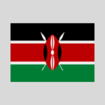 Support private consortium in preparing financing offer for an energy project